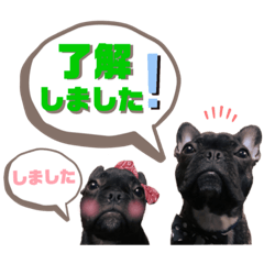 [LINEスタンプ] フレブル風丸くんと風夏ちゃんのスタンプ♡