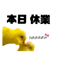 [LINEスタンプ] ゆういちな日常