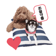 [LINEスタンプ] きなごま