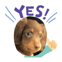 [LINEスタンプ] ライムのつぶやき