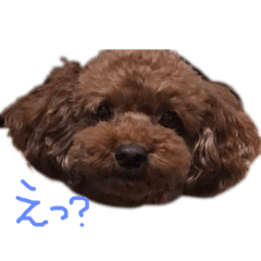 [LINEスタンプ] ゆいくん③