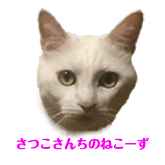 [LINEスタンプ] さつこさんちの猫ver1.1