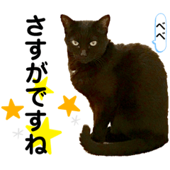 [LINEスタンプ] クロ＆ハッチ  お友達(べべ＆玉三郎)
