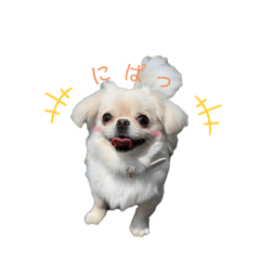 [LINEスタンプ] たら子にございます。