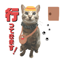 [LINEスタンプ] 猫のいぶちゃん