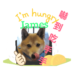 [LINEスタンプ] 柴犬ジェームス～台湾