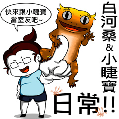 [LINEスタンプ] バイホーさんとケッコー君の日常