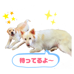 [LINEスタンプ] ロンとベリー   大集合