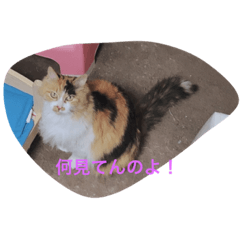 [LINEスタンプ] 優の日々