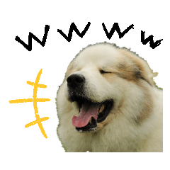 [LINEスタンプ] グレートピレニーズくるみさんと仲間たち