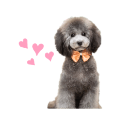[LINEスタンプ] 私はメルシー！