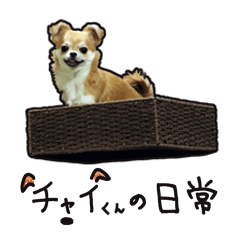 [LINEスタンプ] チャイくんの日常part2の画像（メイン）