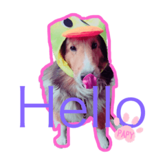 [LINEスタンプ] 久保家の愛犬 パピー♀