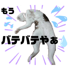 [LINEスタンプ] うきょきょのつぶやき・仲間たち2