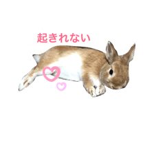 [LINEスタンプ] ポテチと小太郎と前田