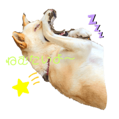 [LINEスタンプ] らぶちゃん♡