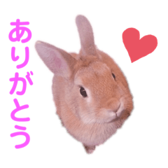 [LINEスタンプ] 黄色い家のうさぎさん ver.2