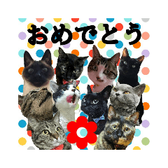 [LINEスタンプ] にゃんこツアー03