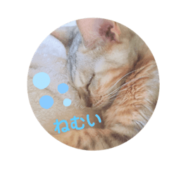 [LINEスタンプ] だいすきちくわ