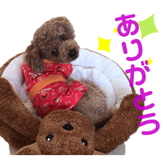 [LINEスタンプ] ぽみるる
