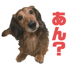 [LINEスタンプ] ロビンさんデス
