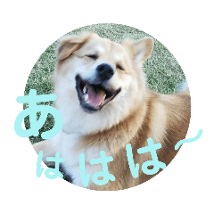 [LINEスタンプ] サンスタ1