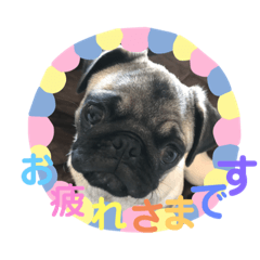 [LINEスタンプ] Suuちゃん