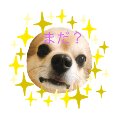 [LINEスタンプ] のりおとぽんた
