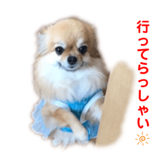 [LINEスタンプ] 可愛い タヌちゃんのスタンプ 2