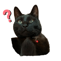[LINEスタンプ] たーたんスペシャル