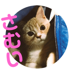 [LINEスタンプ] ゆめちゃんスタンプ3❤