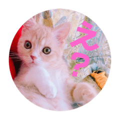 [LINEスタンプ] ゆめちゃんスタンプ2❤