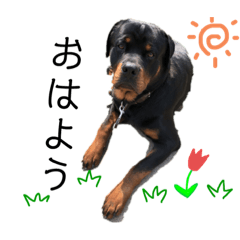 [LINEスタンプ] じゃるあなキズナ