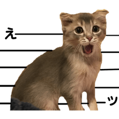[LINEスタンプ] でっつぁん。