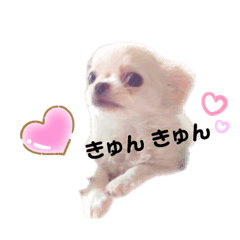 [LINEスタンプ] 可愛いルルのおはなし