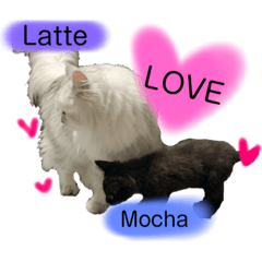 [LINEスタンプ] ラテ＆モカ