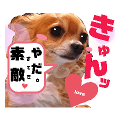[LINEスタンプ] 毎日おいもスタンプ1