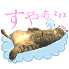 [LINEスタンプ] トロ^._.^16