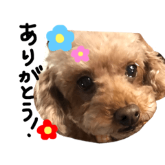 [LINEスタンプ] ピンカの日常①