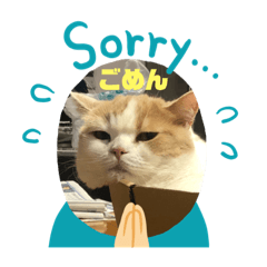 [LINEスタンプ] チャミくん
