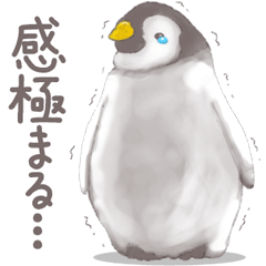 [LINEスタンプ] 毎日使える★ペンギンさん