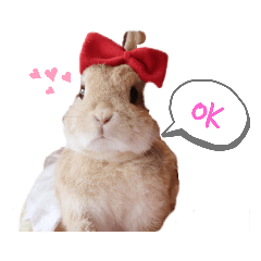 [LINEスタンプ] HAPPYいちごたん❤️