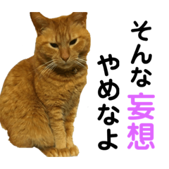[LINEスタンプ] モコとブチ