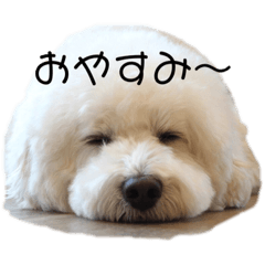 [LINEスタンプ] わたなべれお