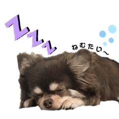 [LINEスタンプ] dog.ragn