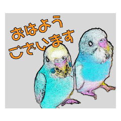 [LINEスタンプ] インコのあずきとセナのなかよしスタンプ‼