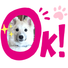 [LINEスタンプ] サンタとともだちスタンプ