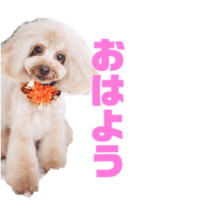 [LINEスタンプ] モモワンワン