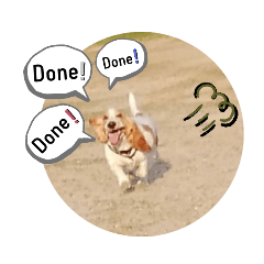 [LINEスタンプ] やっぱMOHALA