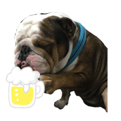 [LINEスタンプ] ブルドッグ2